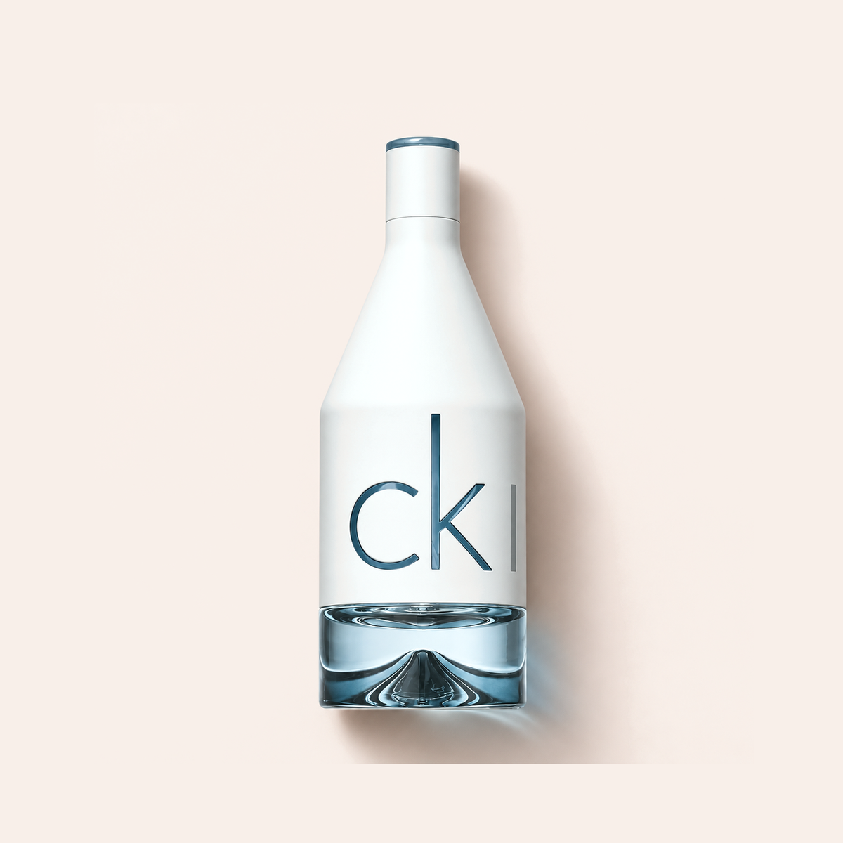 Calvin Klein CK IN2U Him EDT 100 ml – MrRizz