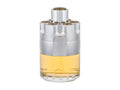 Azzaro Wanted 100 ml - 100ml - Toaletní voda