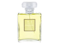 Chanel No. 19 Poudre 100 ml - 100ml - Parfémovaná voda