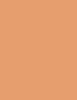 Erborian CC Creme Colour-Correcting Cream 40 ml - 40ml - krém