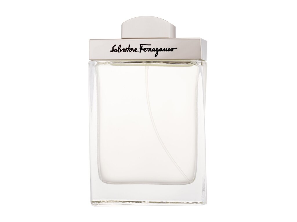 Ferragamo Pour Homme 100 ml - 100ml - Toaletní voda