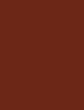 Inebrya Bionic Color 100 ml - 100ml - Barva na vlasy