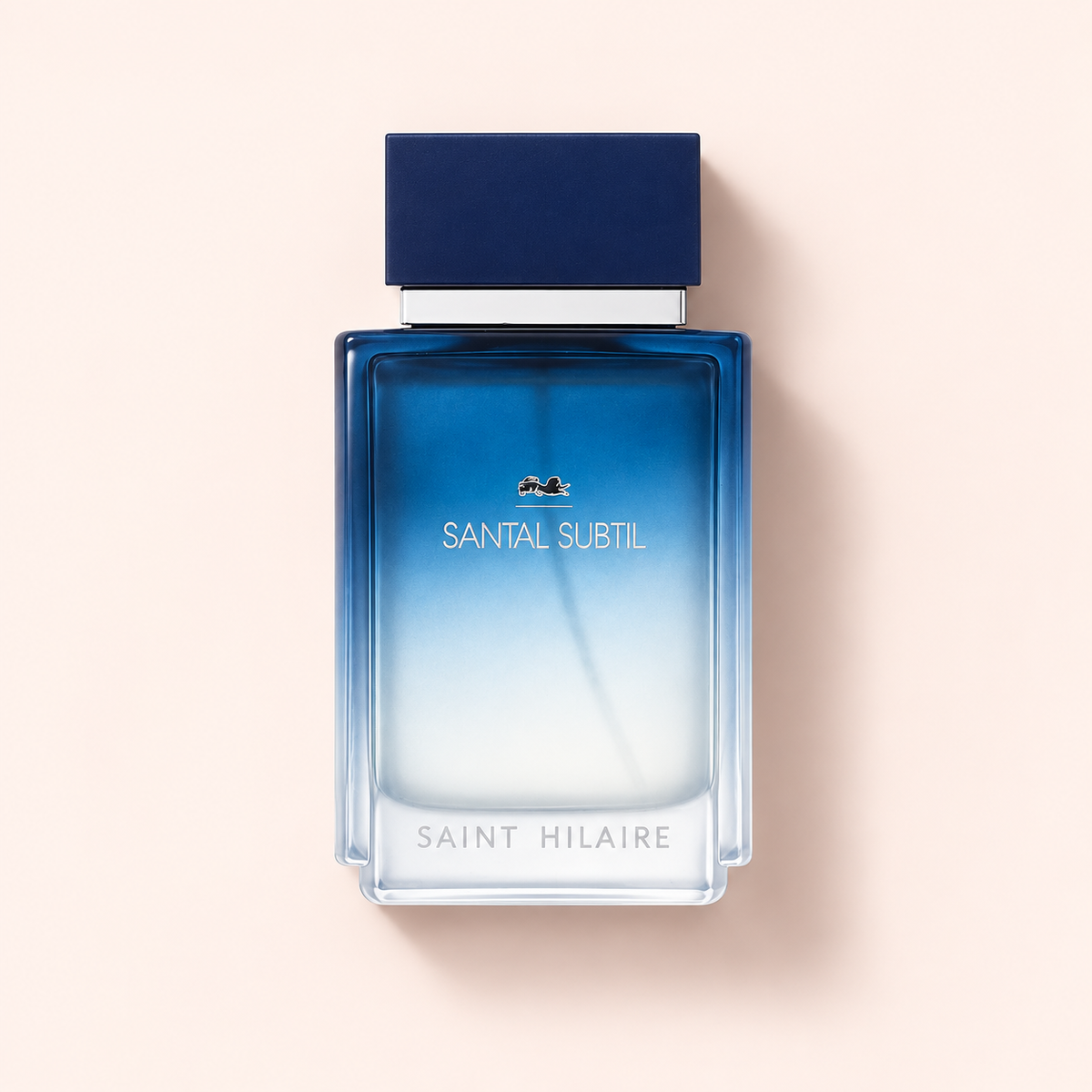Saint Hilaire Santal Subtil EDP 100 ml – MrRizz