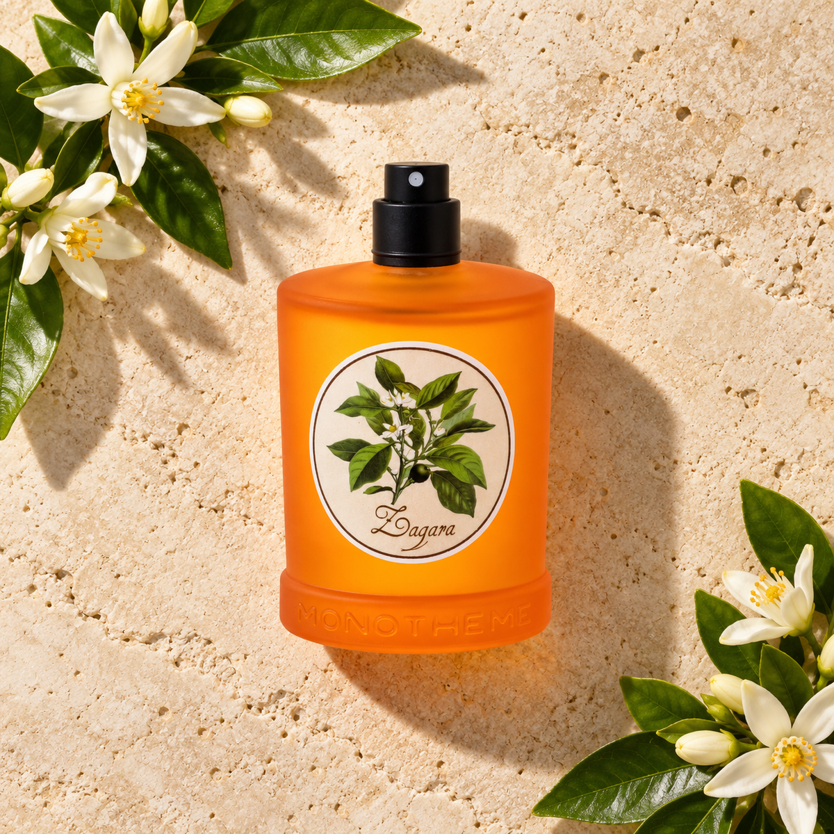 Monotheme Book of Citruses Zagara EDT 100 ml – parfém v prostředí, pohled shora s bočním stínem