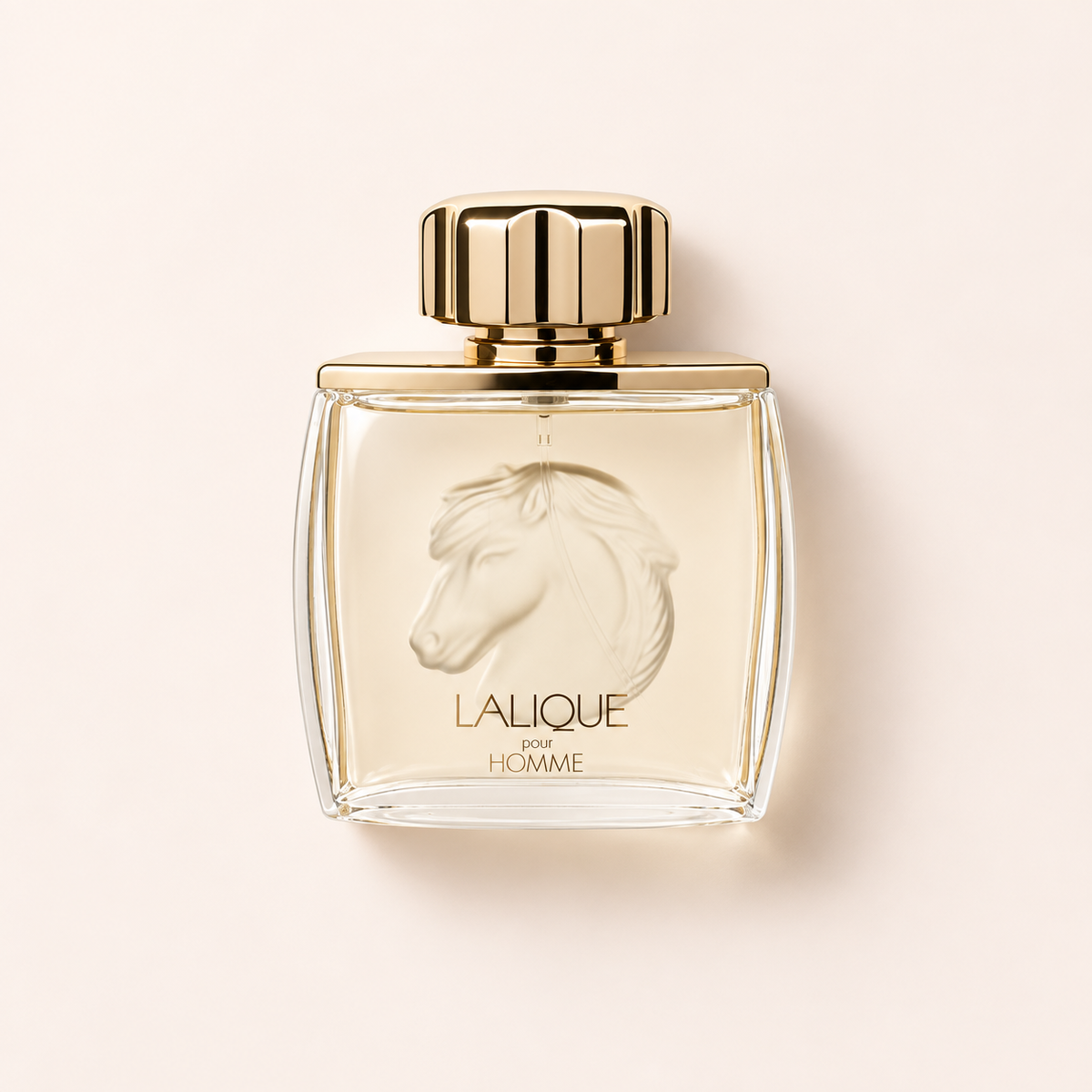 Lalique Pour Homme Equus 75 ml – MrRizz