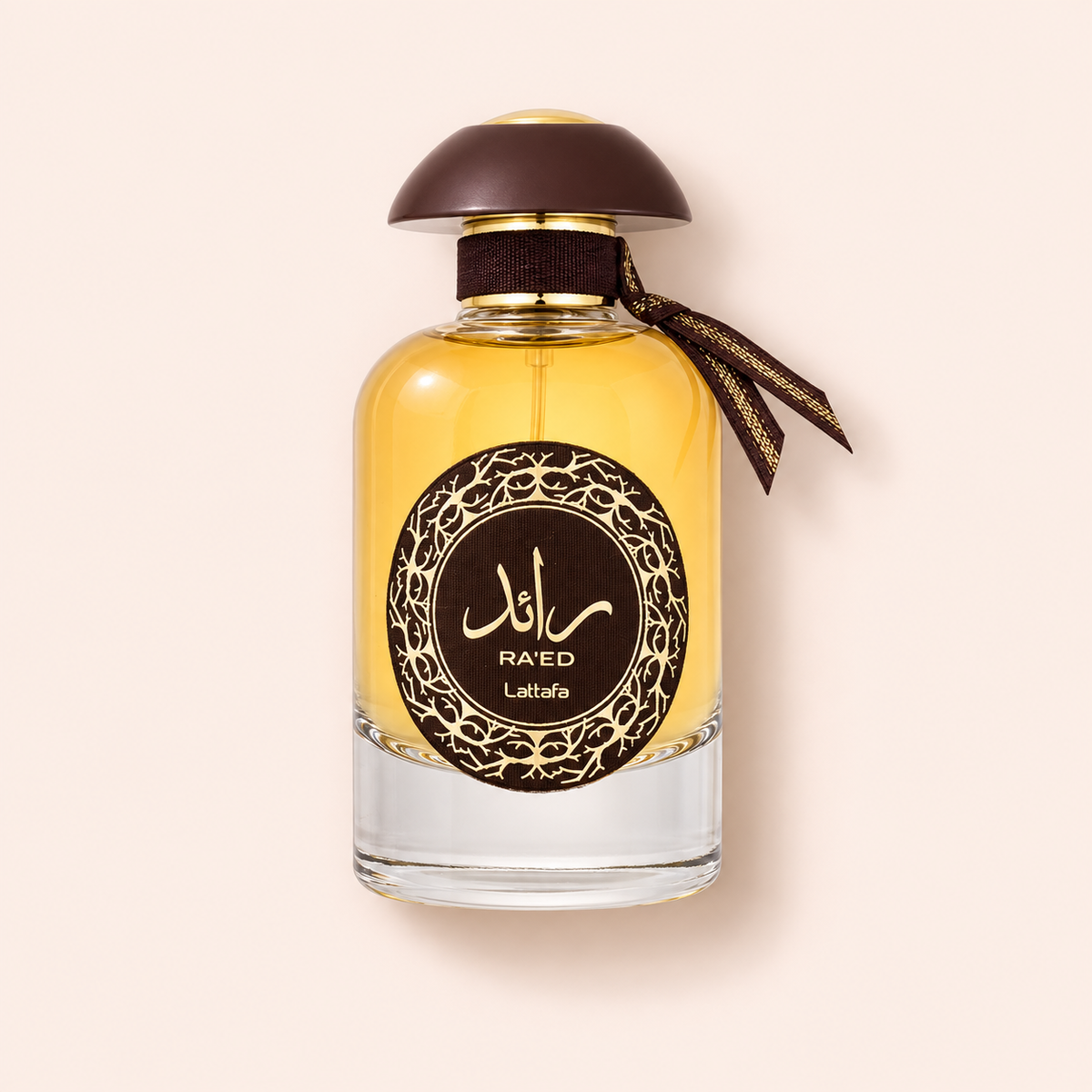 Lattafa Ra'ed Oud 100 ml – MrRizz