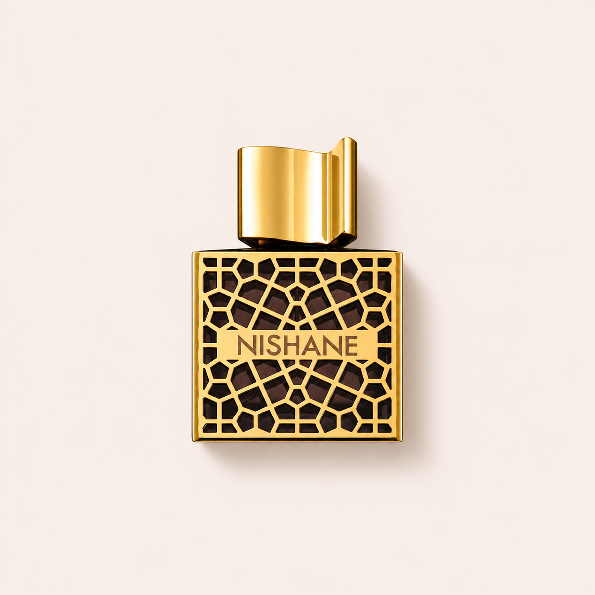 Nishane Nefs Extrait de Parfum 50 ml – MrRizz