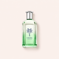 Tommy Hilfiger Tommy Summer 2025 100 ml – MrRizz