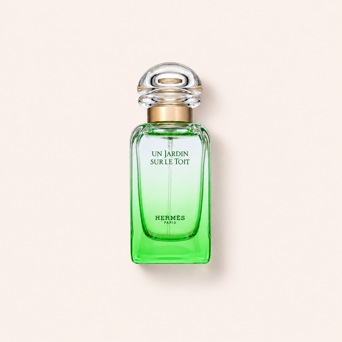 Hermès Un Jardin Sur Le Toit EDT 50 ml refillable – MrRizz