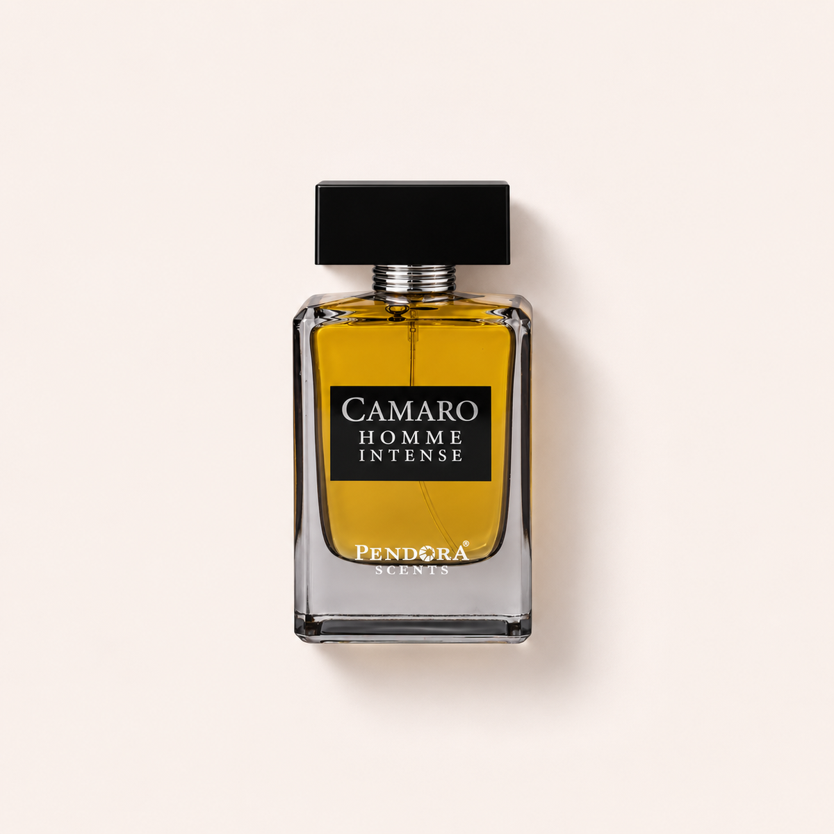 Pendora Scents Camaro Homme Intense 100 ml – parfémovaná voda – MrRizz