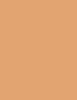 Sally Hansen Airbrush Legs Leg Makeup 118 ml - 118ml