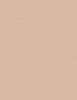 Shiseido Synchro Skin Self-Refreshing Custom Finish Powder Foundation 9 ml - 9ml - Makeup
