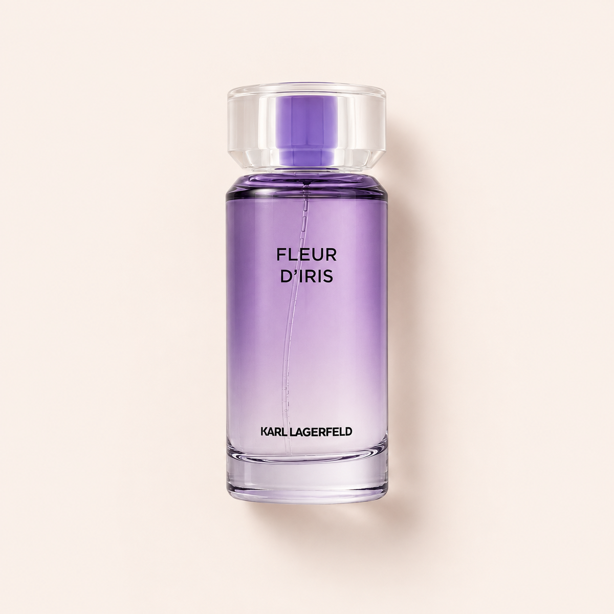 Karl Lagerfeld Les Parfums Matieres Fleur D'Iris 100 ml – MrRizz